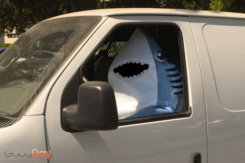 Person in shark costume waving to come on from car window
