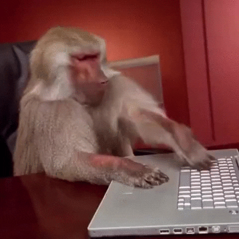 Monkey frantically tapping at keyboard out of frustration.