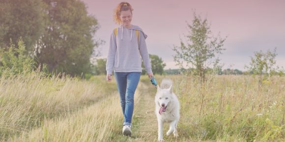 Woman walking white husky in the fields to help prevent burnout