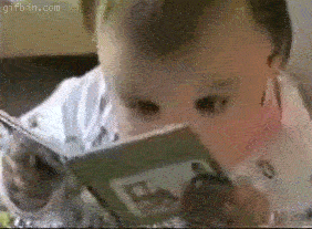 Baby intensely reading a book. 