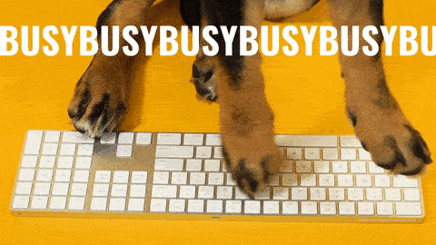 Dog typing busy on keyboard